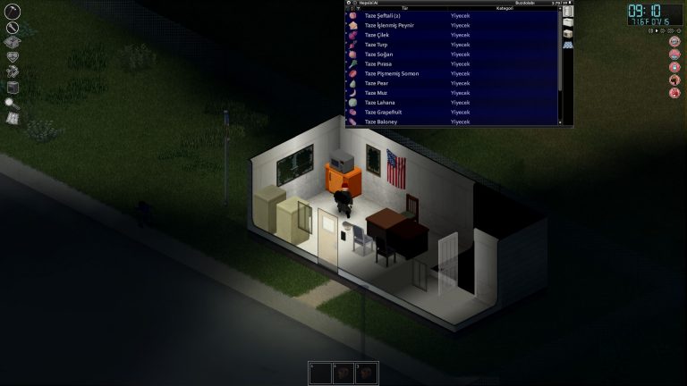 Project Zomboid Sistem Gereksinimleri
