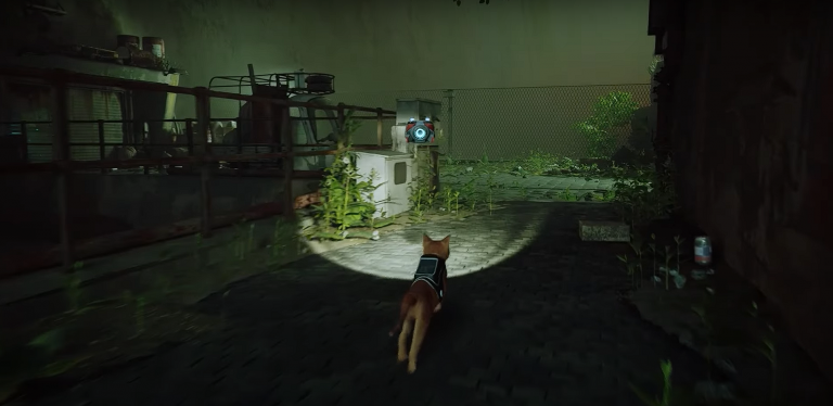 Stray Sistem Gereksinimleri