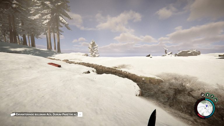 Sons of The Forest Sistem Gereksinimleri