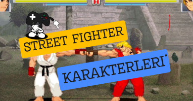 Street Fighter Karakterleri